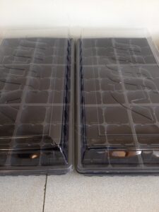 seed germination kit, 2 seed trays, 72 large cells, 2 dome lids