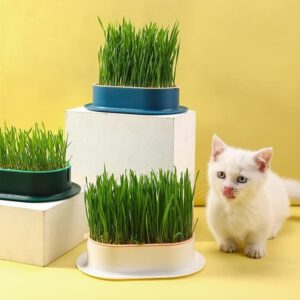 BATDIYOW Seed Sprouter Tray with Drain Holes Wheatgrass Grower Sprouting Container for Garden Home