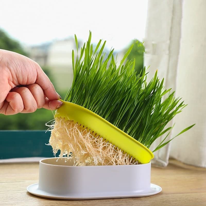 BATDIYOW Seed Sprouter Tray with Drain Holes Wheatgrass Grower Sprouting Container for Garden Home