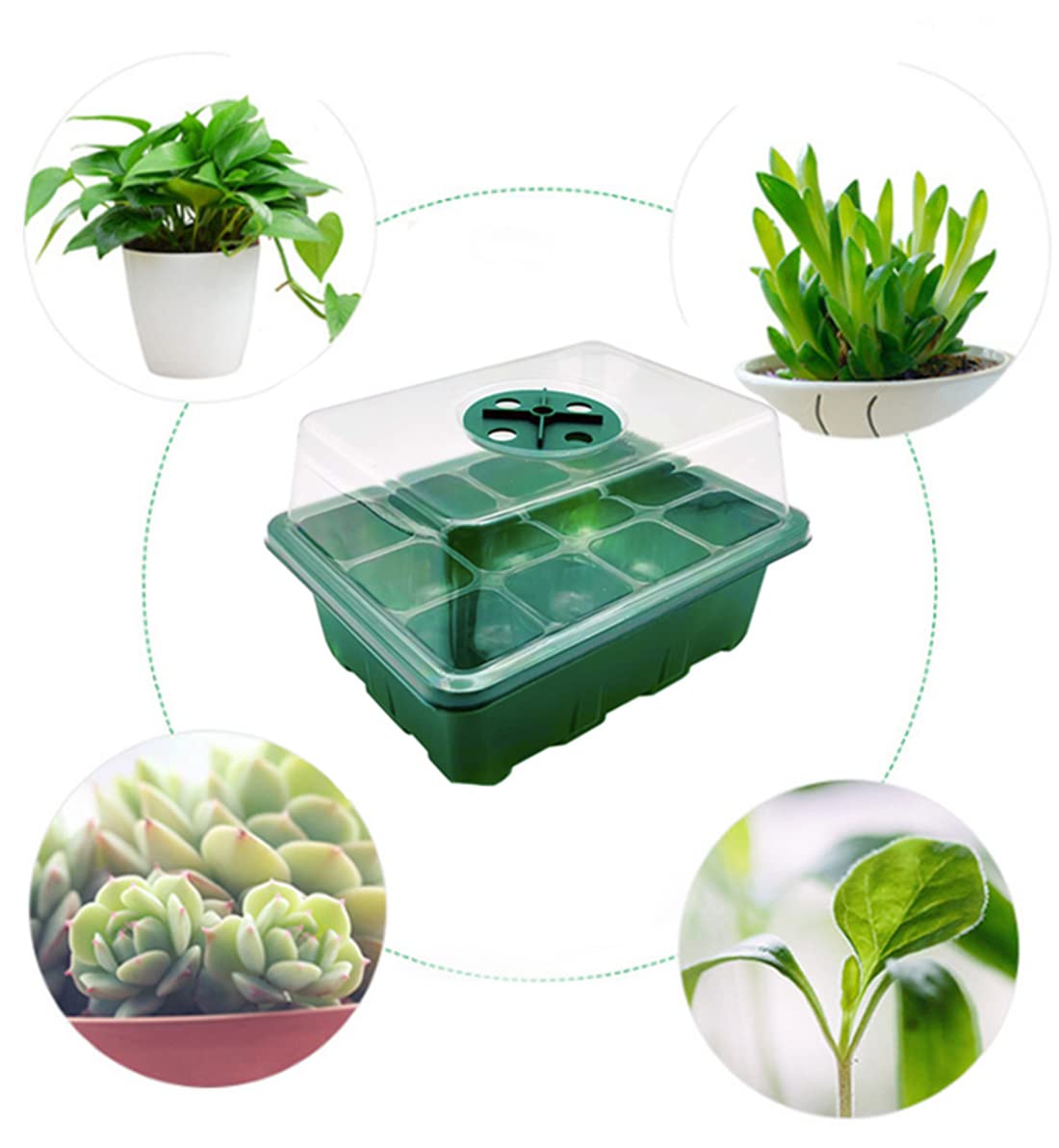 Springen 3 Packs Seed Starter Tray Seedling Starter Kits, Humidity Adjustable Plant Starter Kit with Dome and Base (12 Cells Per Tray, Green)