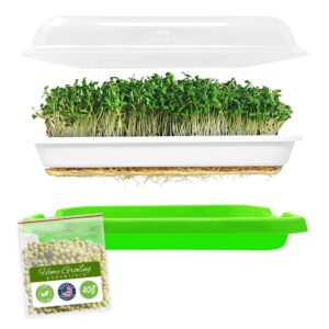 homegrowing essentials sprouting tray with 40g mung bean seeds, sprouting kit, bpa-free sprouting trays for sprouts and microgreens, wheatgrass or cat grass, broccoli and bean sprouts growing kit