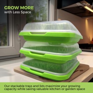 HomeGrowing Essentials Sprouting Tray with 40g Mung Bean Seeds, Sprouting Kit, BPA-Free Sprouting Trays for Sprouts and Microgreens, Wheatgrass or Cat Grass, Broccoli and Bean Sprouts Growing Kit