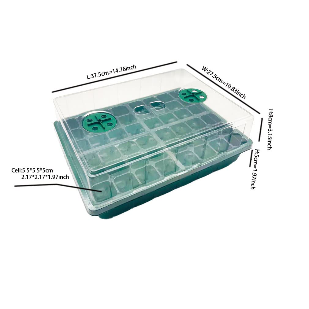 Rayurain Big Size Hole Heavy Duty Reusable 6 Sets Plant Germination Trays (Total 144 Cell) 2.17 inch*1.97 inch 24 Cell Seedling Tray with Dome for Tomato - Seed Start Kit