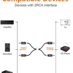 CableCreation RCA Cable, 2RCA Male to 2RCA Stereo Audio Subwoofer Cable Compatible with Speaker, AMP, Turntable, Receiver, Home Theater, Subwoofer, Double Shielded, 10 Feet/3M
