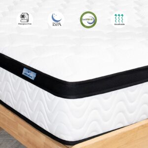 MOLBIUS Queen Mattress | 10 Inch Queen Size Hybrid Mattresses in a Box | Plush Soft Memory Foam and Individual Pocket Springs | Fiberglass Free Bed Matress | Breathable, CertiPUR-US