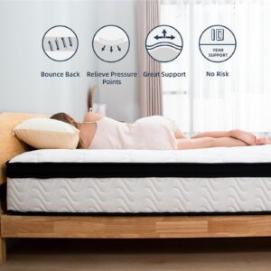 MOLBIUS Queen Mattress | 10 Inch Queen Size Hybrid Mattresses in a Box | Plush Soft Memory Foam and Individual Pocket Springs | Fiberglass Free Bed Matress | Breathable, CertiPUR-US