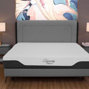 DynastyMattress Queen Mattress CoolBreeze 12 Inch Essential Gel Infused Memory Foam Bed Medium Firm Queen Size 60x80 (USA Made)