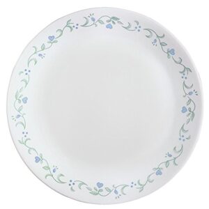 Corelle Vitrelle Glass 12-Piece Country Cottage Chip and Break Resistant Dinner Set, Green/Blue - 3029B