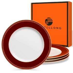 FASTELLONG Red Dessert Plates Set of 4, 8 inch Porcelain Salad Plates, Lightweight Ceramic Outdoor Kitchen Dinner Plates, Dishwasher & Microwave Safe China Gift