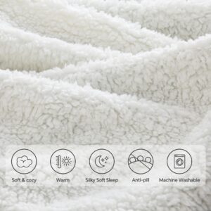 BEDELITE Sherpa Fleece Blanket - Thick Warm Blankets for Winter, Reversible Soft & Cozy Fluffy Throw Blanket for Couch and Bed (Grey, 50" X 60")