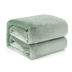 Mellowdy Plush Flannel Blanket Cozy Warm Comfy Soft Fleece Fall Fuzzy Throw Blanket for Couch Sofa Chair Bed Camping Traveling Twin Size (Iceberg Green, 60x80 inches) - 320GSM