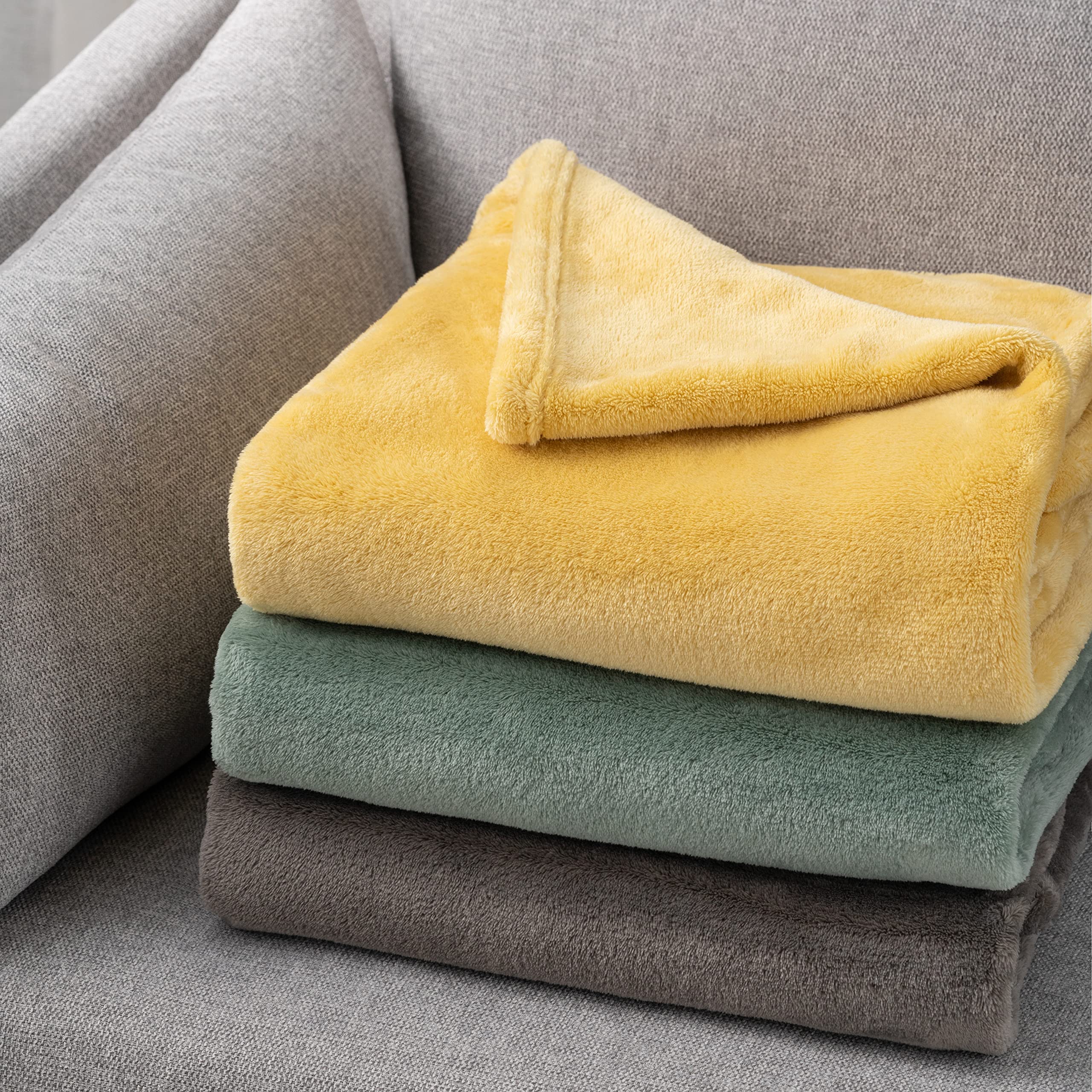 Mellowdy Plush Flannel Blanket Cozy Warm Comfy Soft Fleece Fall Fuzzy Throw Blanket for Couch Sofa Chair Bed Camping Traveling Twin Size (Iceberg Green, 60x80 inches) - 320GSM