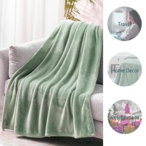 Mellowdy Plush Flannel Blanket Cozy Warm Comfy Soft Fleece Fall Fuzzy Throw Blanket for Couch Sofa Chair Bed Camping Traveling Twin Size (Iceberg Green, 60x80 inches) - 320GSM