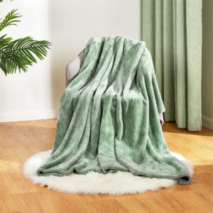 Mellowdy Plush Flannel Blanket Cozy Warm Comfy Soft Fleece Fall Fuzzy Throw Blanket for Couch Sofa Chair Bed Camping Traveling Twin Size (Iceberg Green, 60x80 inches) - 320GSM