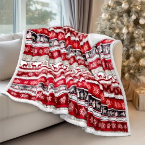 PAVILIA Premium Christmas Sherpa Throw Blanket | Christmas Decoration Reindeers, Fleece, Plush, Warm, Cozy Reversible Microfiber Holiday Blanket 50 x 60