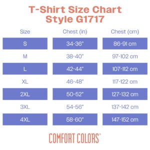 Comfort Colors Adult Short Sleeve Tee, Style G1717, Washed Denim (2-pack), X-Large