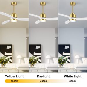 ELEHINSER 64" Wood Ceiling Fan with Lights and Remote Control, 3 Blades 6-Speed Dimmable Light Reversible DC Motor Ceiling fan for Kitchen Bedroom Dining Living Room, White Wood Blades with Gold