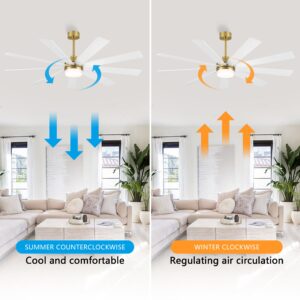 LEDLUX 65" DC Motor Ceiling Fan with Light, 6-Speed Remote Control, Reversible Motor, Modern 9 Blades Ceiling Fan with 4.5"/12" Downrods for Home or Commercial White/Gold