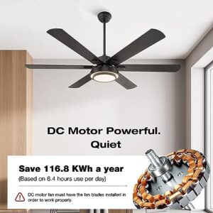 warmiplanet Ceiling Fan with Lights Remote Control, 62 Inch, Black, DC Motor (6-Blades)