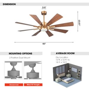 Parrot Uncle Ceiling Fans with Lights and Remote 60 Inch Ceiling Fan with Light Large Outdoor Ceiling Fans for Patios with LED Light, Copper