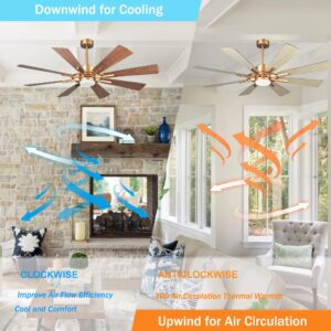 Parrot Uncle Ceiling Fans with Lights and Remote 60 Inch Ceiling Fan with Light Large Outdoor Ceiling Fans for Patios with LED Light, Copper