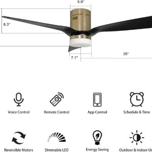 SMAAIR 52 Inch Smart Ceiling Fan with Lights and 10-speed DC Motor, Works with Remote Control/Alexa/Google Home/Siri, Dimmable LED Light (52 Inch, Black/Gold)