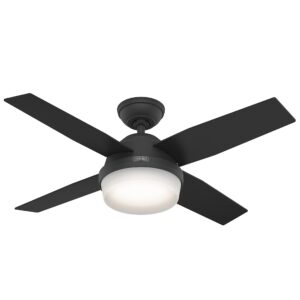 hunter fan company 52391 dempsey ceiling fan, 44 inches, matte black