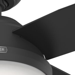 Hunter Fan Company 52391 Dempsey Ceiling Fan, 44 Inches, Matte Black