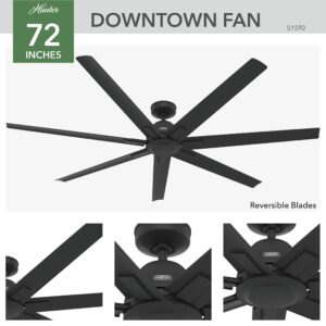 Hunter Fan Company 51592 Downtown Ceiling Fan, Matte Black, AAA