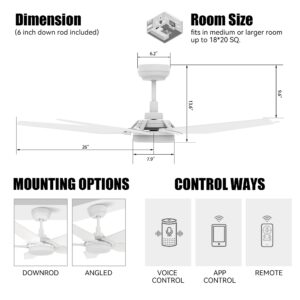 SMAAIR 52 inch Smart Ceiling Fan with Light, 5 Blades Low Profile Ceiling Fan with 10 speed DC Motor and Dimmable LED Light, works with APP/Alexa/Google Assistant/Siri Shortcuts (White)