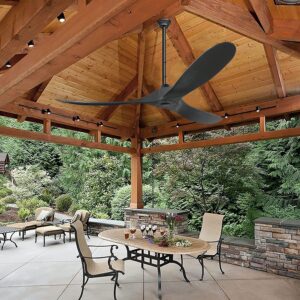 WZHESS 60 inch Black Ceiling Fan without Light, Outdoor Patio Fans for Outside, Large Modern Ceiling Fan with 3 Wood Blades, Quiet DC Motor for Living Room Bedroom Farmhouse(Black, 60inch)