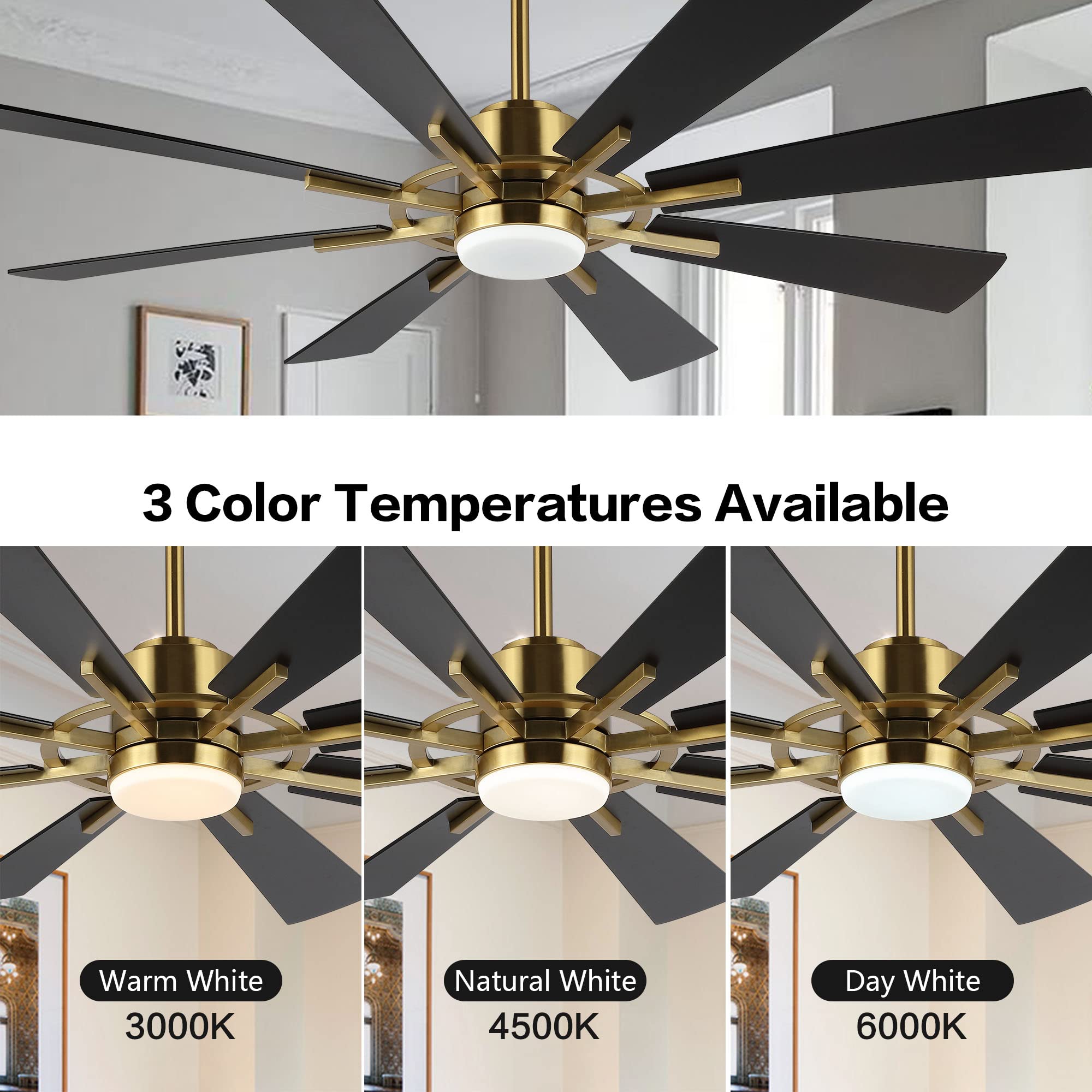 WINGBO 60" DC Ceiling Fan with Lights and Remote Control, Gold and Black Ceiling Fan, 8 Plywood Blades, 6-Speed Reversible DC Motor, Modern Ceiling Fan Indoor for Kitchen Bedroom Living Room