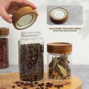 piconesper 2PCS Small Glass Storage Jars with Airtight Lids, 19.3 fl oz (560ml) coffee container with Wooden Lid, Glass Pantry Canister for Beans, Rice, Sugar and etc (2PCS, 560ML)