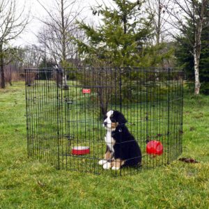 lucky dog modular pet play pen