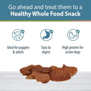 JustFoodForDogs Healthy Dog Treats, Pork, Single-Ingredient, Made in The USA, 5 oz