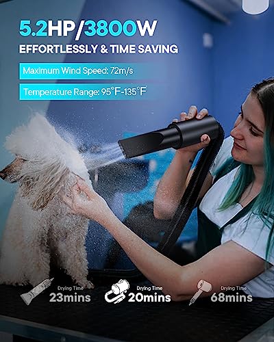 EGFKI Dog Dryer, 5.2HP/ 3800W Pet Grooming High Velocity Force Blower with 4 Nozzles, Adjustable Speed and Temperature Dog Hair Dryers for Grooming