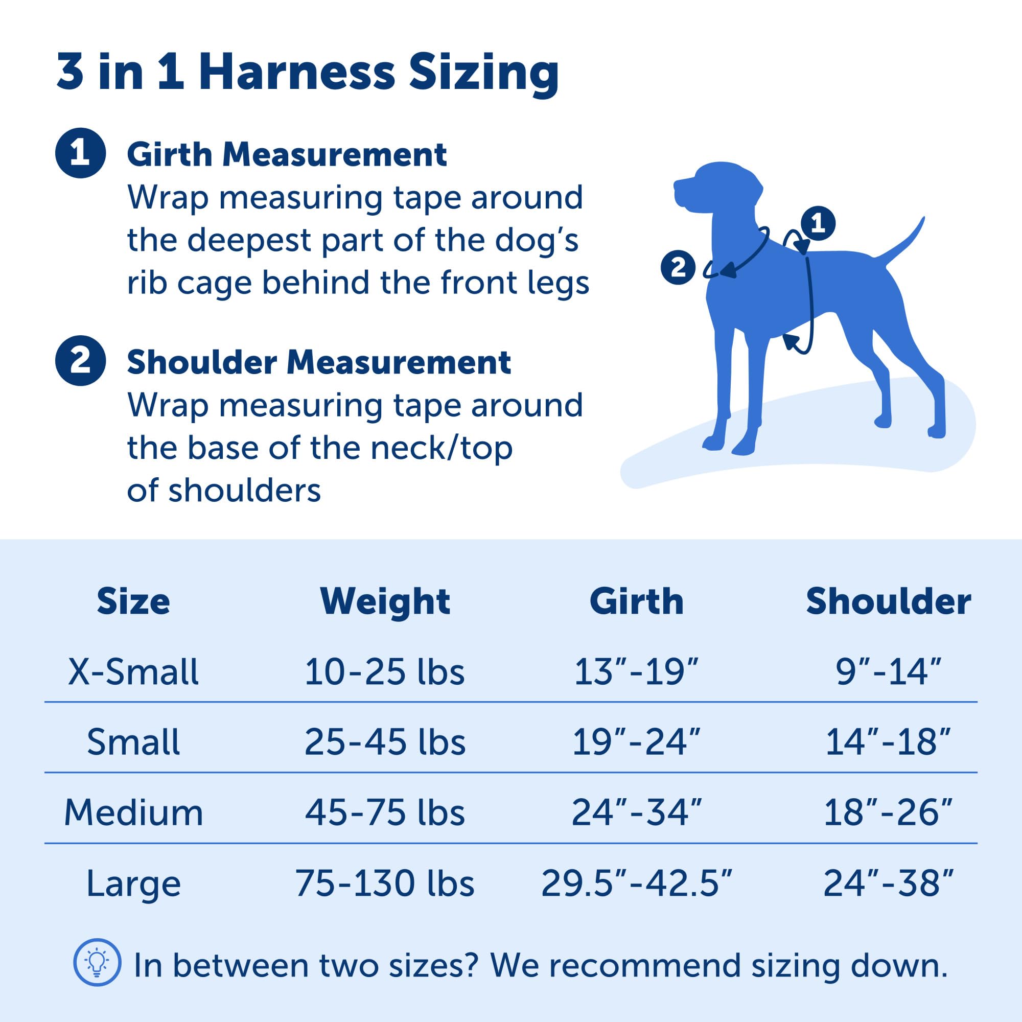 PetSafe 3 in 1 Dog Harness - No Pull Solution for Dogs - Reflective Dog Harness - Front D-Ring Clip Helps Stop Pulling - Comfortable Padded Straps - Top Handle Enhances Control - Plum - Extra Small