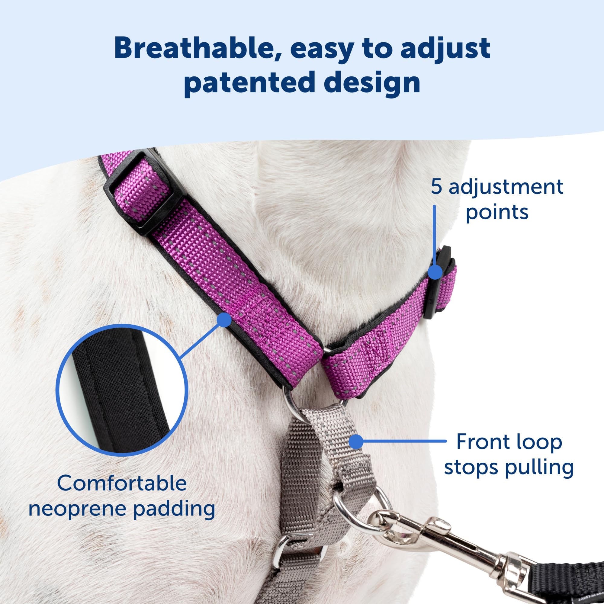 PetSafe 3 in 1 Dog Harness - No Pull Solution for Dogs - Reflective Dog Harness - Front D-Ring Clip Helps Stop Pulling - Comfortable Padded Straps - Top Handle Enhances Control - Plum - Extra Small