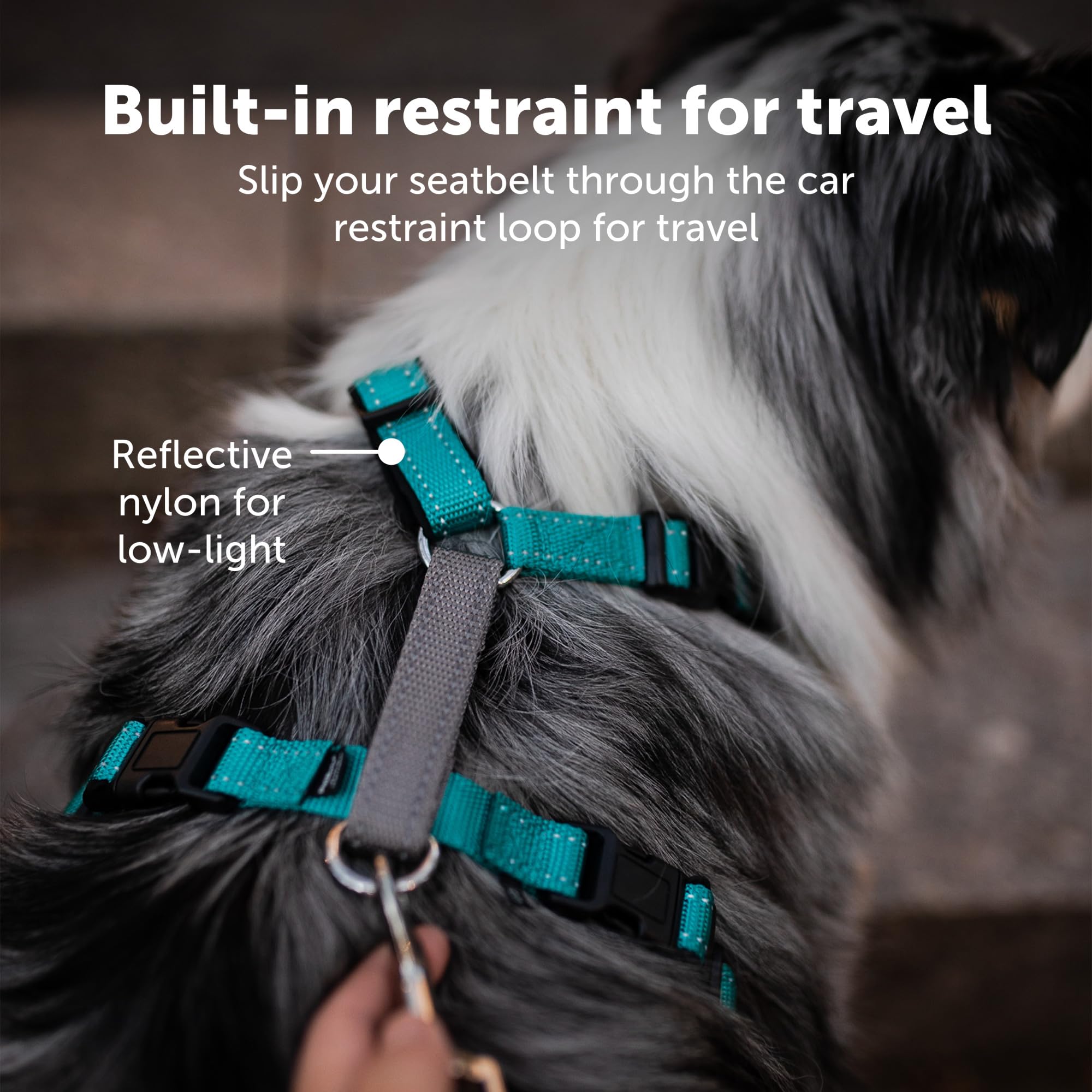 PetSafe 3 in 1 Dog Harness - No Pull Solution for Dogs - Reflective Dog Harness - Front D-Ring Clip Helps Stop Pulling - Comfortable Padded Straps - Top Handle Enhances Control - Plum - Extra Small