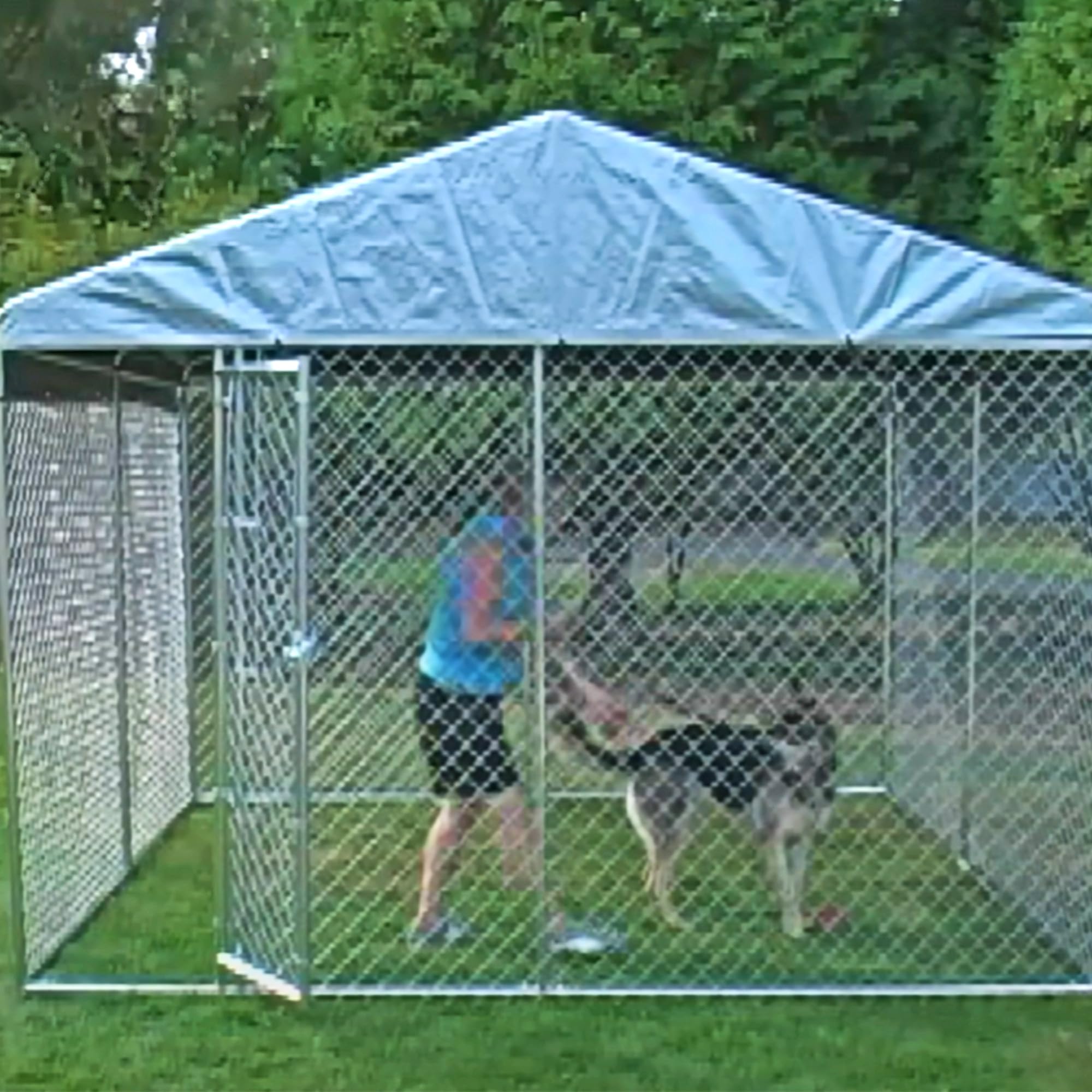 Lucky Dog 10 by 6 Foot Large Outdoor Galvanized Steel Chain Link Dog Kennel with Latching Door, 1.5 Inch Raised Legs, and WeatherGuard Roof Cover