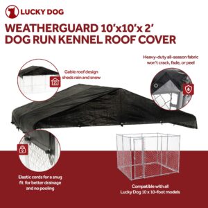 Lucky Dog 10 by 6 Foot Large Outdoor Galvanized Steel Chain Link Dog Kennel with Latching Door, 1.5 Inch Raised Legs, and WeatherGuard Roof Cover