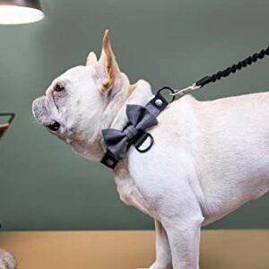 BOW Gentle - Modular Dog Collar