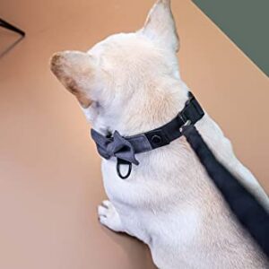 BOW Gentle - Modular Dog Collar