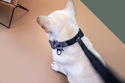 BOW Gentle - Modular Dog Collar