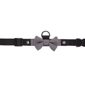 BOW Gentle - Modular Dog Collar