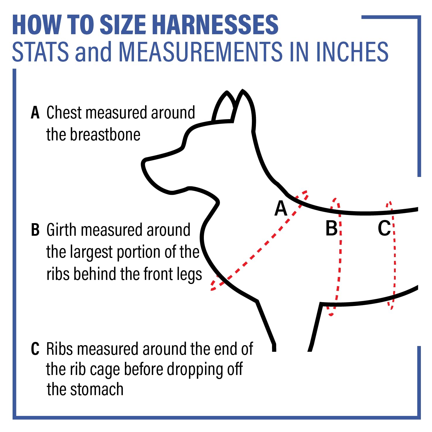 Ray Allen Mfg Signature K9 Modular Duty Harness, Fits 28"-36" girth