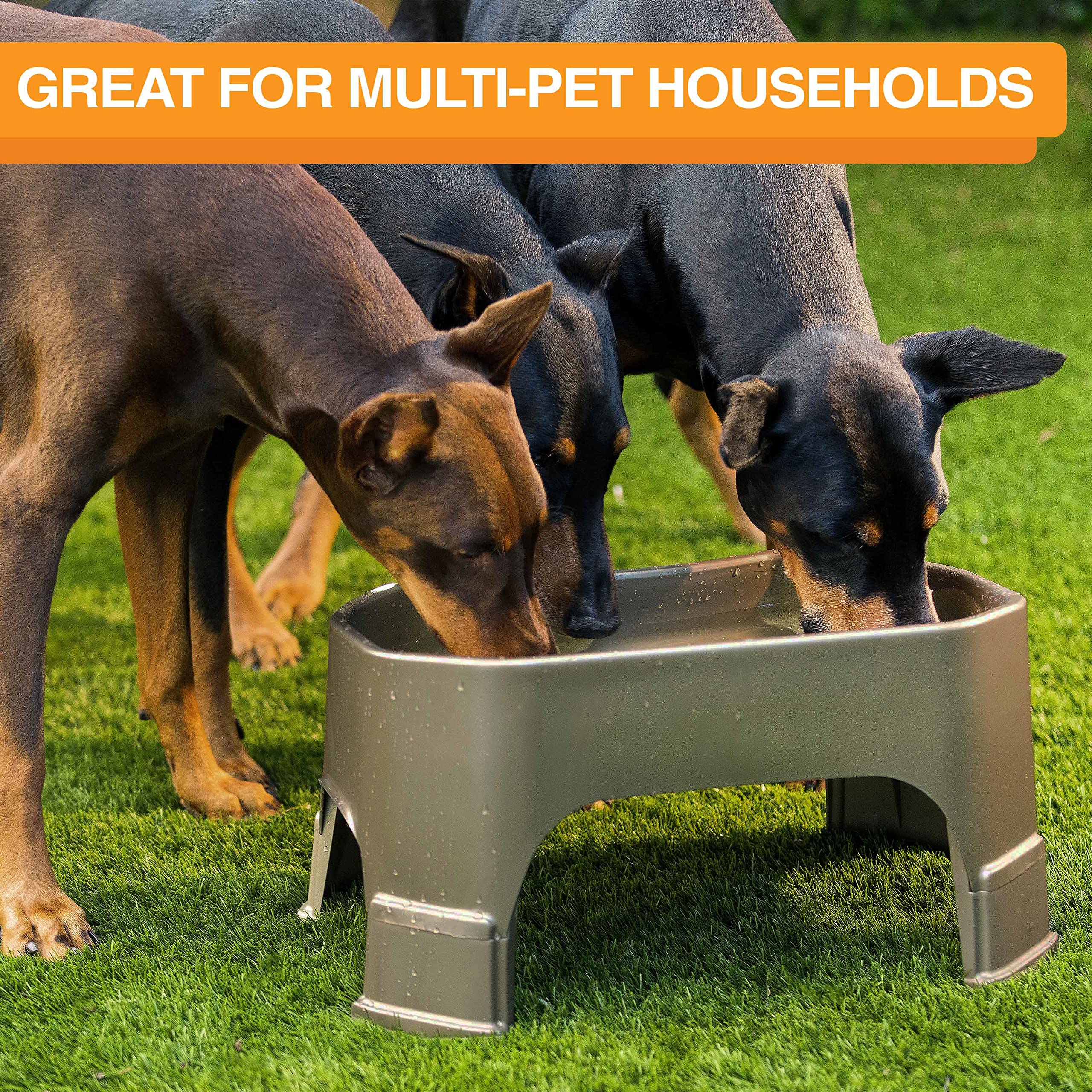 Neater Pet Brands Giant Bowl with Leg Extensions Huge Jumbo Trough Style Dog Pet Water Dish (2.25 Gallons, Champagne)