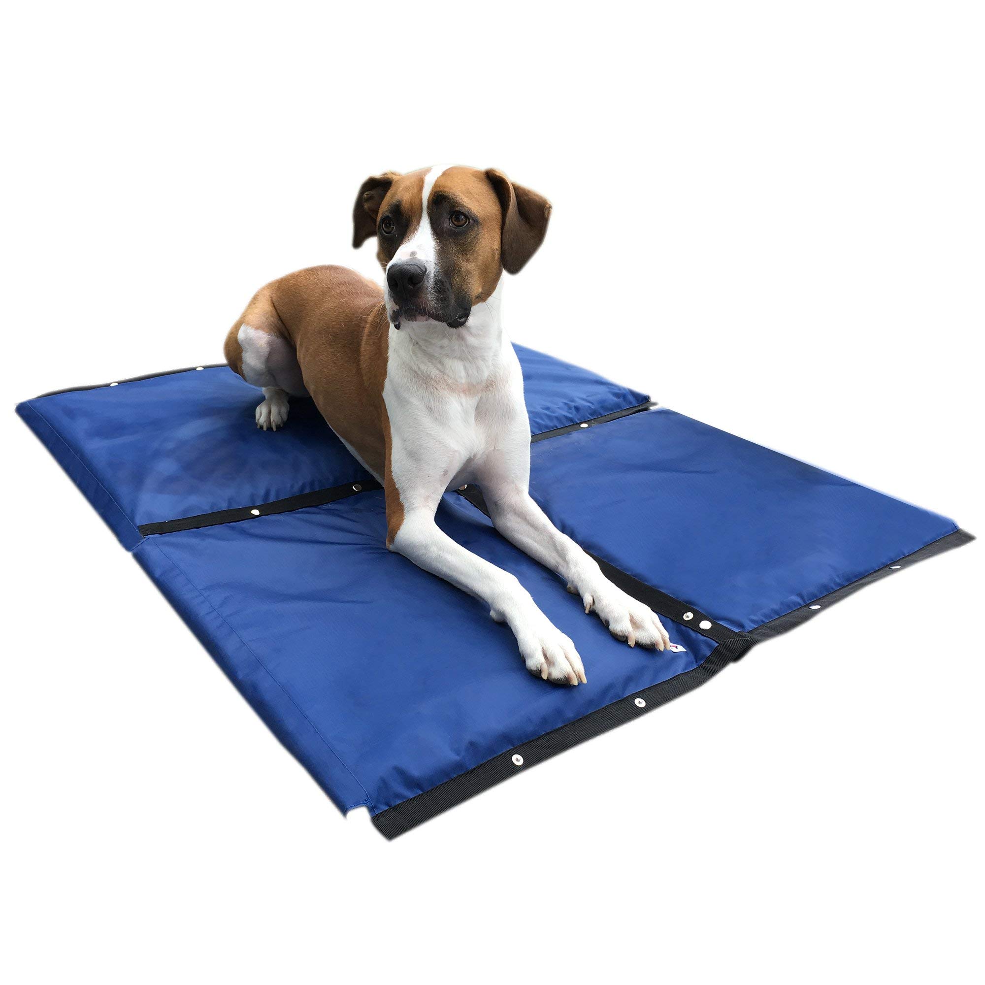 CoolerDog Dog Cooling Pad Dog Cooling Products Hydro Cooling Mat 4 Pack for X-Large Dogs