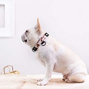 Teddy - Modular Dog Collar