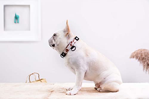 Teddy - Modular Dog Collar